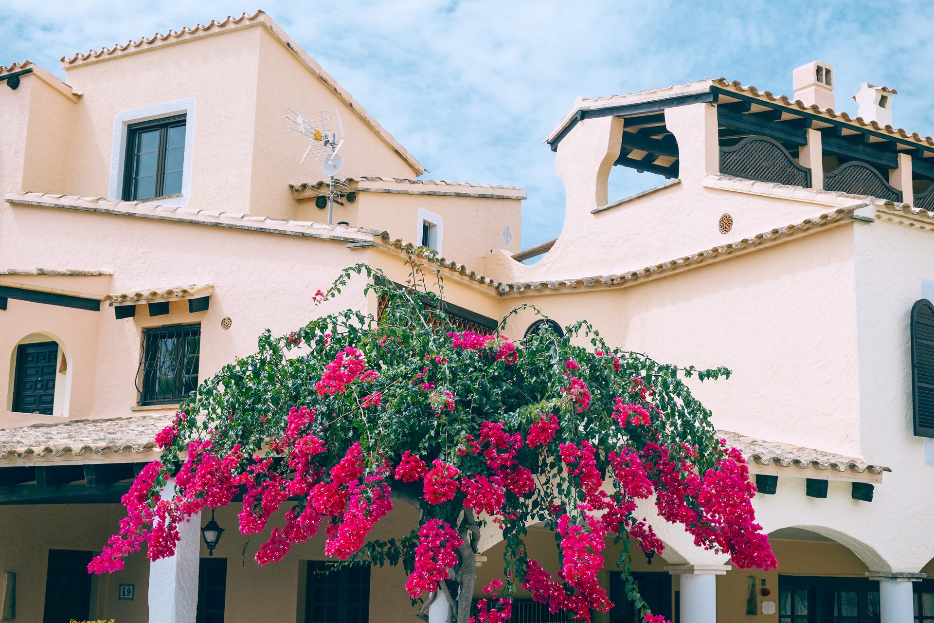 Edificio de paredes claras con tejados de teja, terraza cubierta, ventanas y una planta de abundantes flores fucsias en primer plano.
